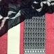Black__D3 Collection